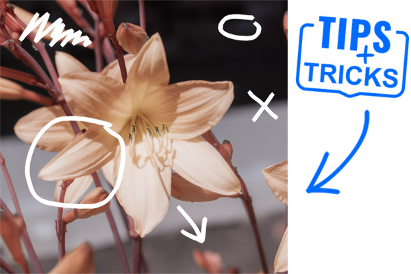 infrared-custom-image-02